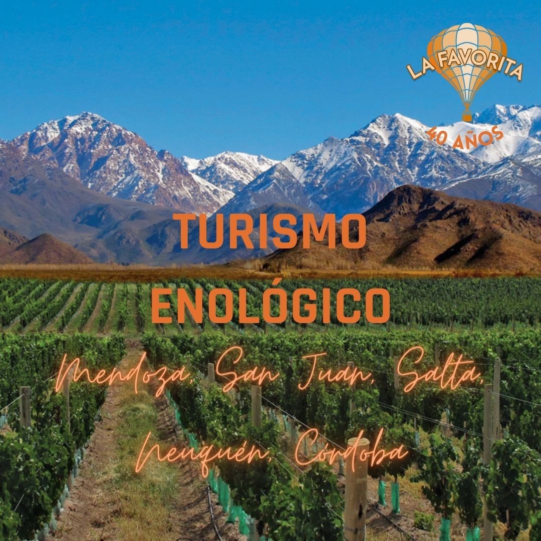 turismo-enologico