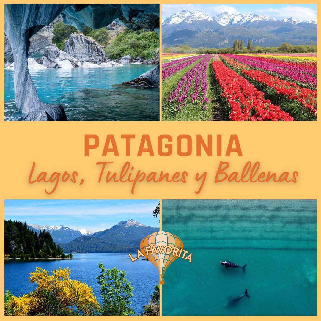 patagonia-con-lagos-tulipanes-y-ballenas